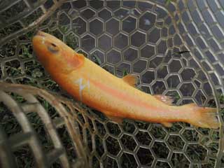 20130720_kaisei_04.jpg