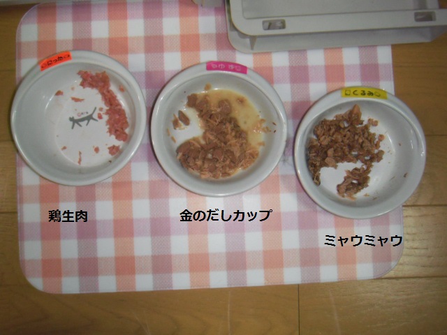 2016_03020006.JPG