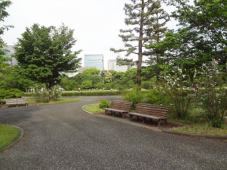 DSC05133.jpg