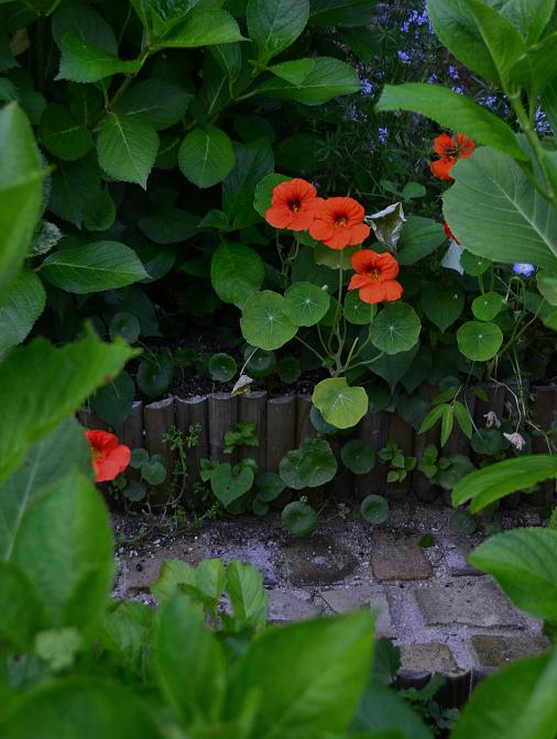 DSC_0392.JPG