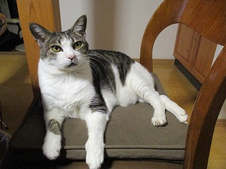 IMG_1066ss.jpg