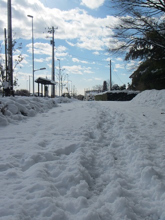 風２０雪道.jpg