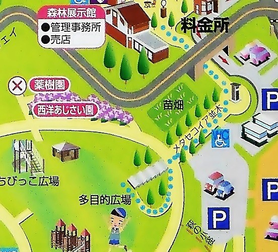 北エリアマップ