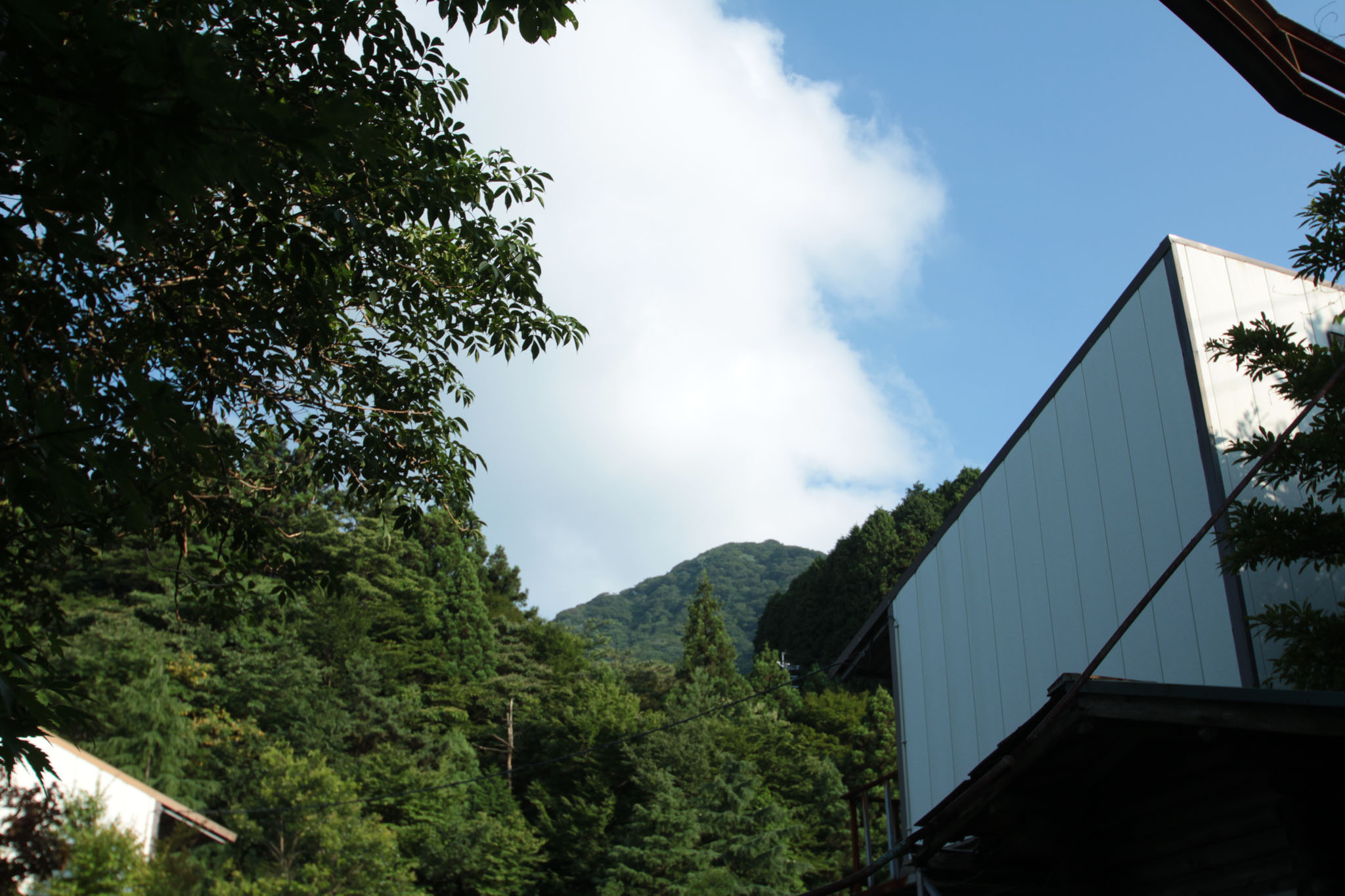 キャンプ場