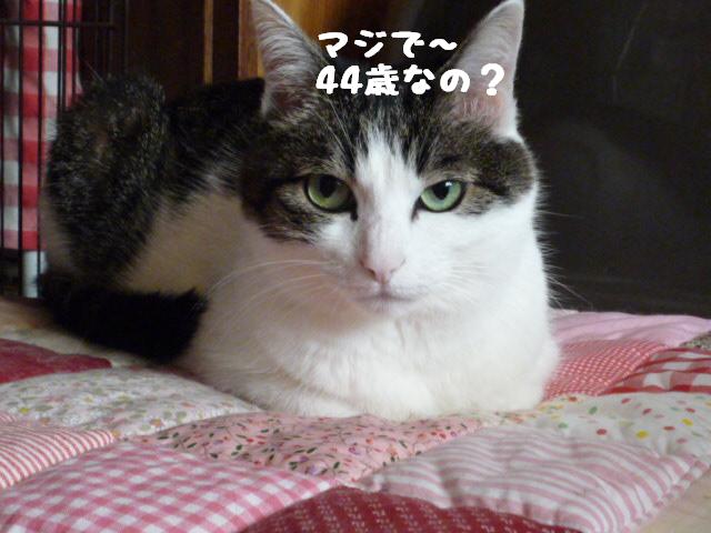 みいちゃん7歳4