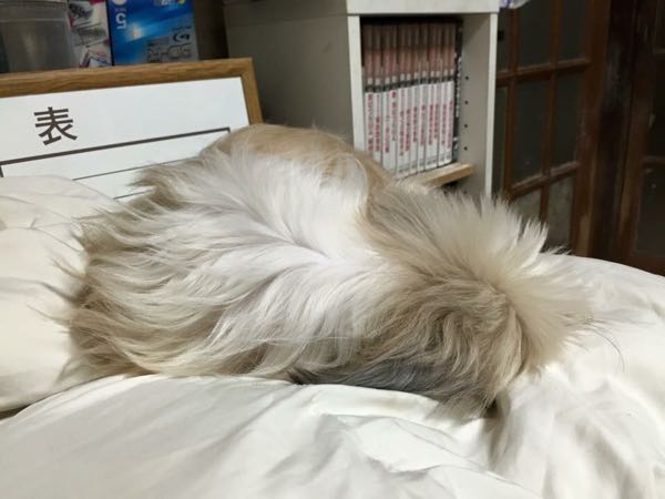rblog-20150126221238-01.jpg