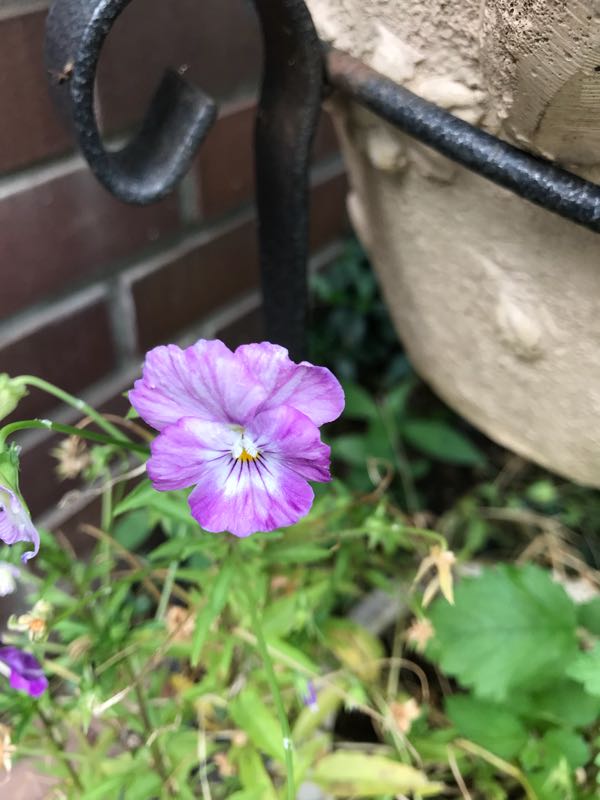 rblog-20180628171900-03.jpg