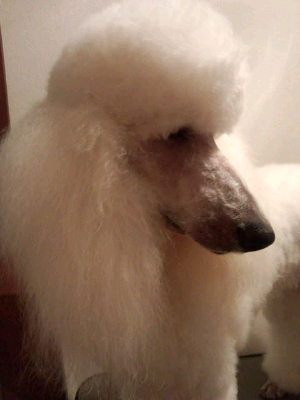 rblog-20131022194558-04.png