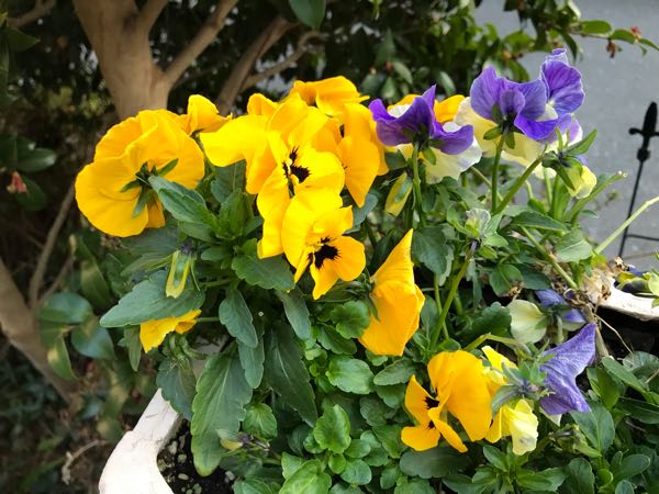 rblog-20190324174434-07.jpg