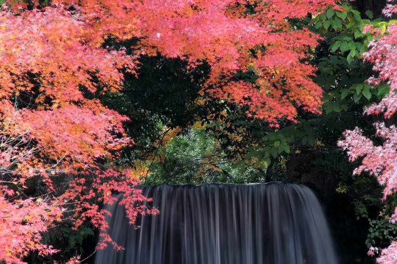 万博記念公園_006.jpg