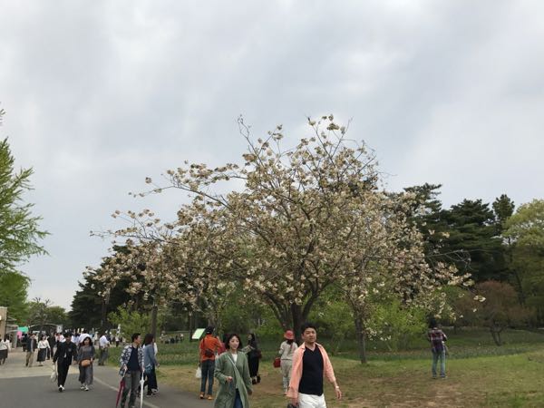 rblog-20170501132024-02.jpg