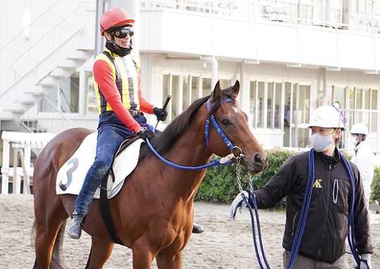 １週間の出来事 地方競馬の楽天競馬 日替わりライターブログ 楽天ブログ