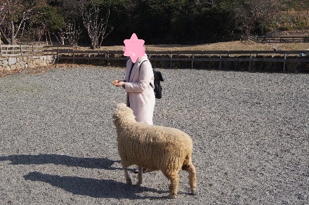 2016_0103正月、淡路島家族旅行0143.JPG