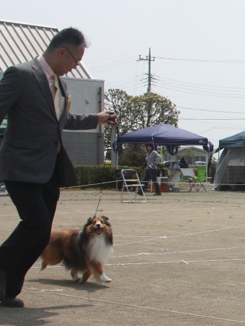 IMG_2962 - コピー.JPG