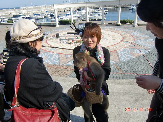 大道芸（猿廻し） 019.jpg