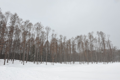 DSC_5202.jpg