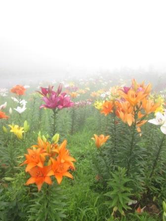 IMG_1984.JPG