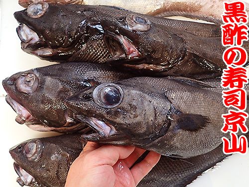 相模湾の深海魚です 釣り物新鮮 宅配寿司 黒酢の寿司京山 楽天ブログ