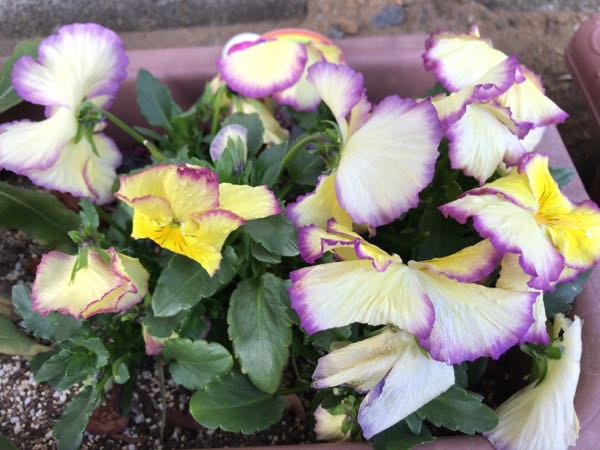 rblog-20170227213621-03.jpg
