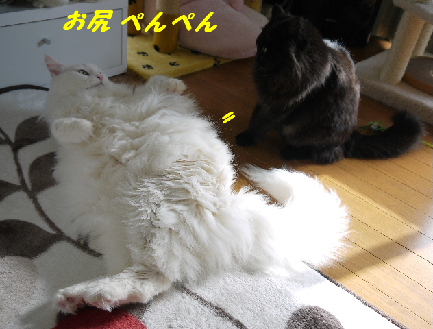 P1250594.JPG