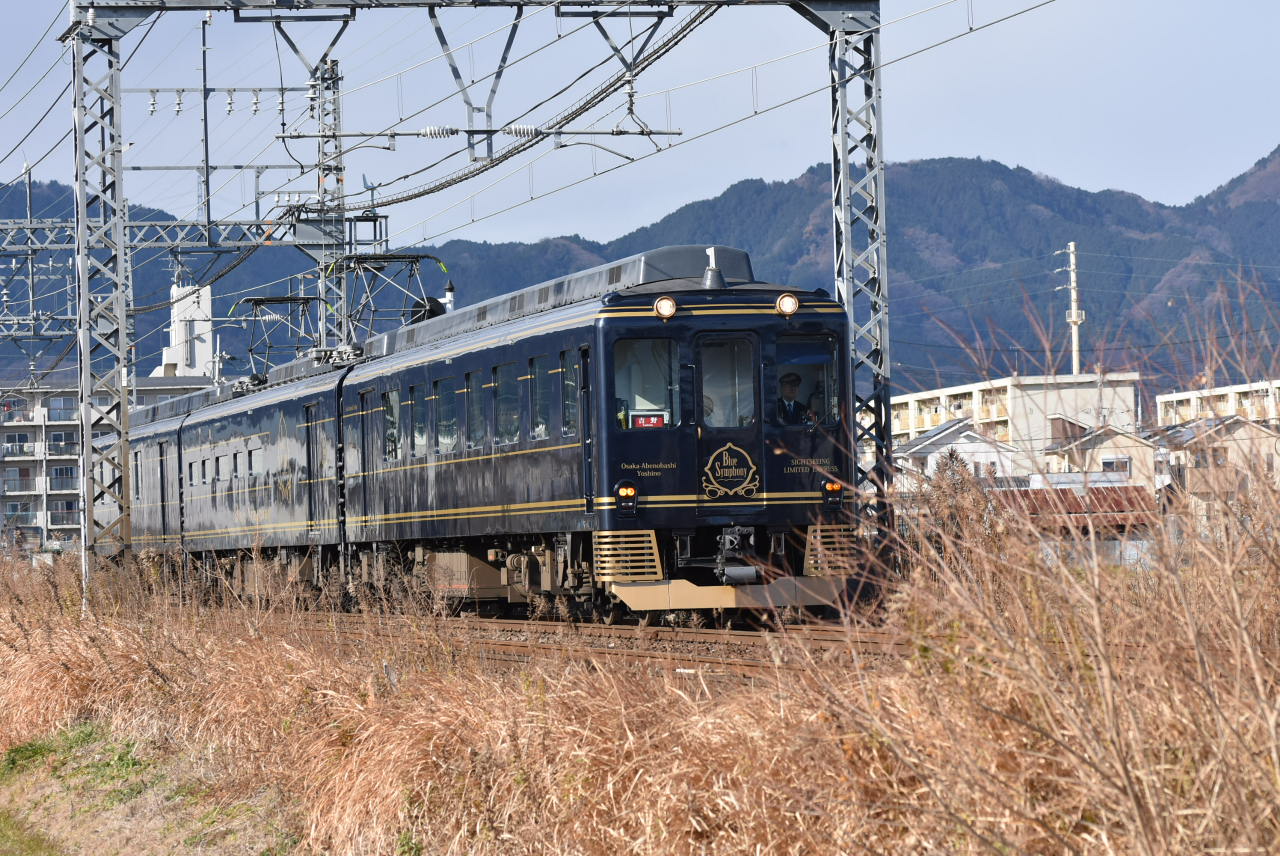 DSC_6393.JPG