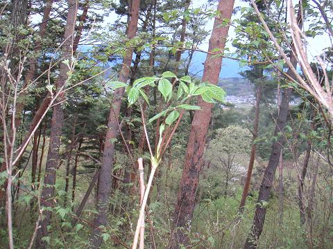 2012.05.03 010.jpg