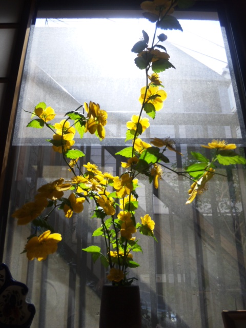 120406_133239.jpg