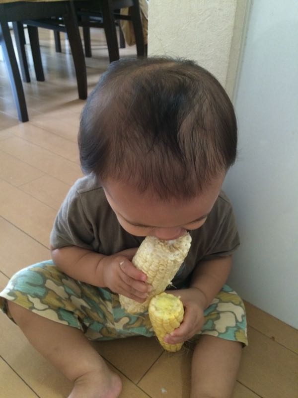 rblog-20150721013949-03.jpg