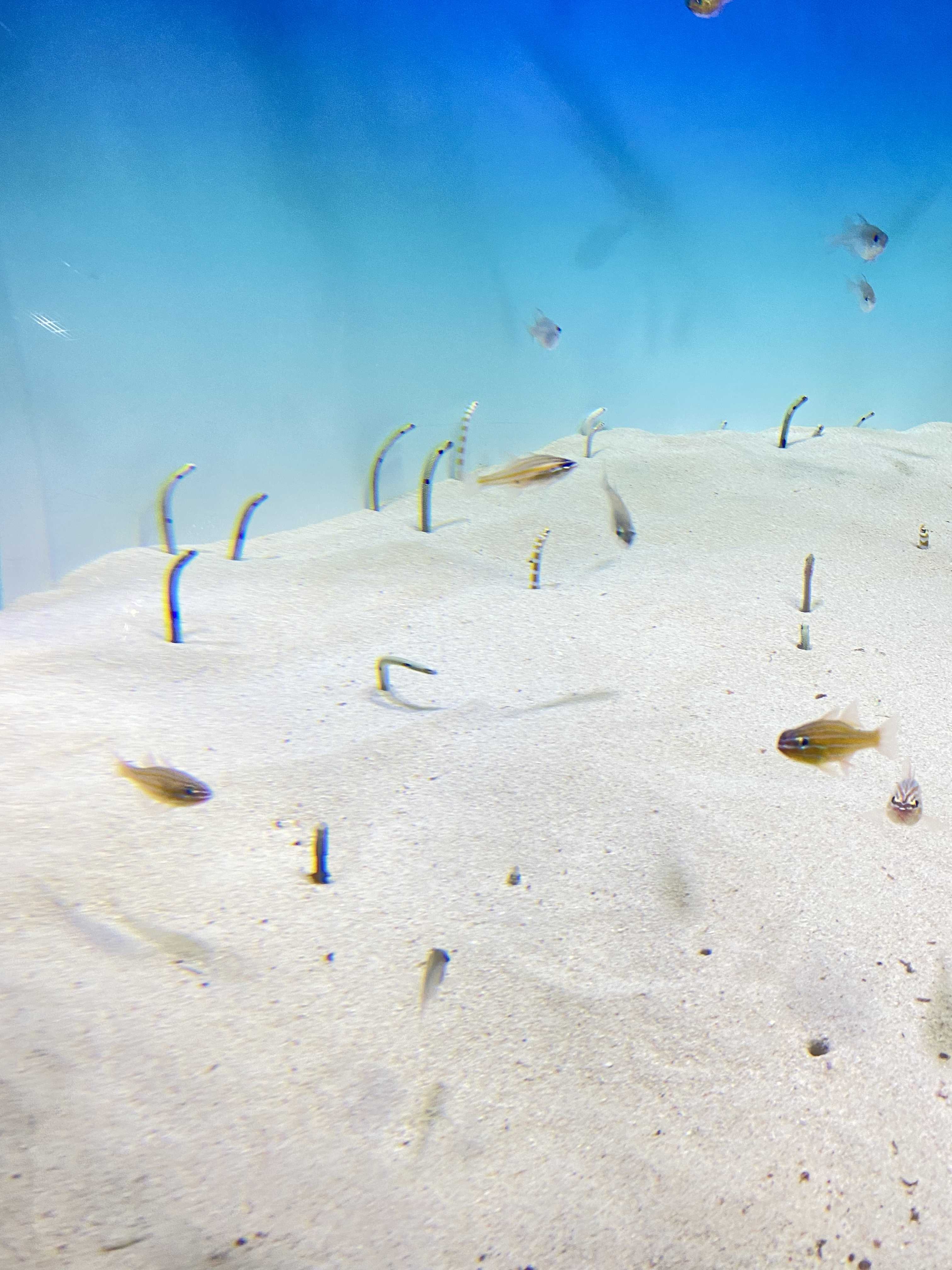 年の差夫婦も色々あるよね