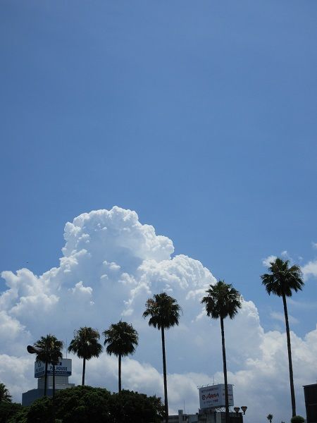 四国地方 梅雨明け７月３０日 ツーリズム徳島 見てみ 来てみ 徳島観光 四国旅行 とくしま観光ボランティア 楽天ブログ