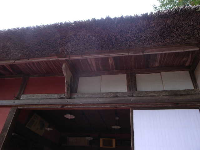RIMG22741.JPG