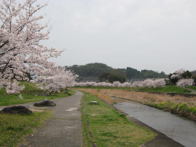 IMG_0434.JPG
