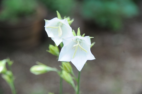 2013.5.24 042.JPG