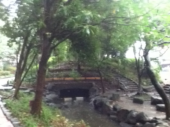 小松川境川親水公園08