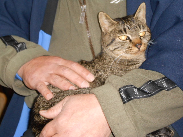 DSCN0781.JPG