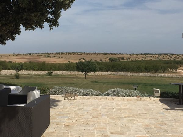 rblog-20151001074504-03.jpg