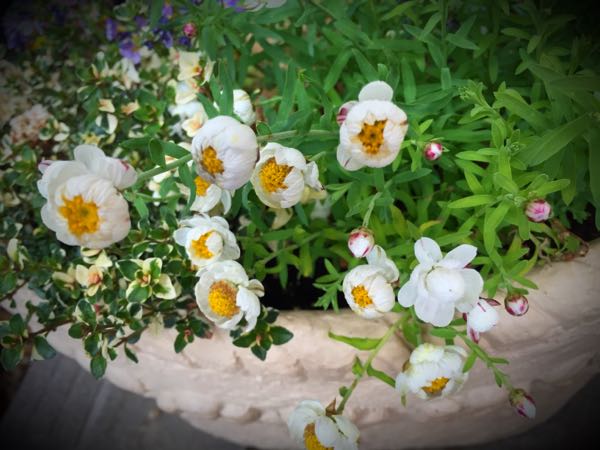 rblog-20160328172826-09.jpg
