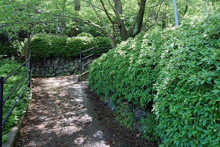 DSC_0860.jpg