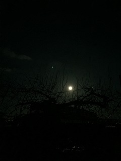 s-IMG_4815.jpg