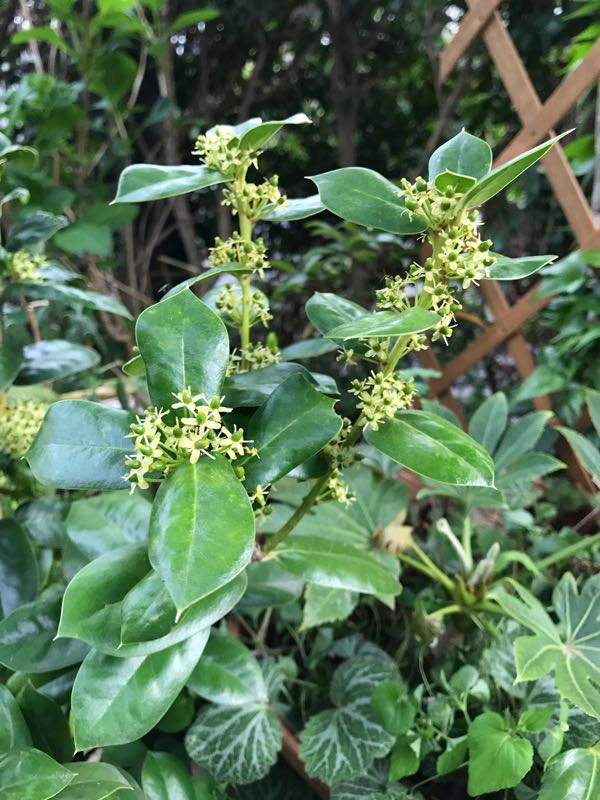 rblog-20190423182540-05.jpg