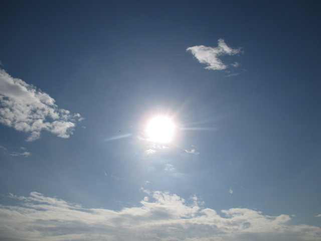 画像 36856.jpg