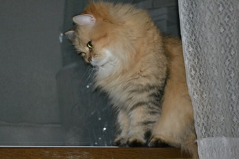 2012-08-18 20.36.19.jpg