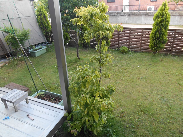 DSCN1879.JPG