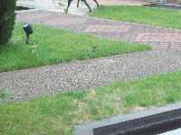 rblog-20130602192957-01.png