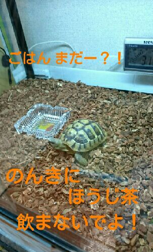 rblog-20151007102704-01.jpg