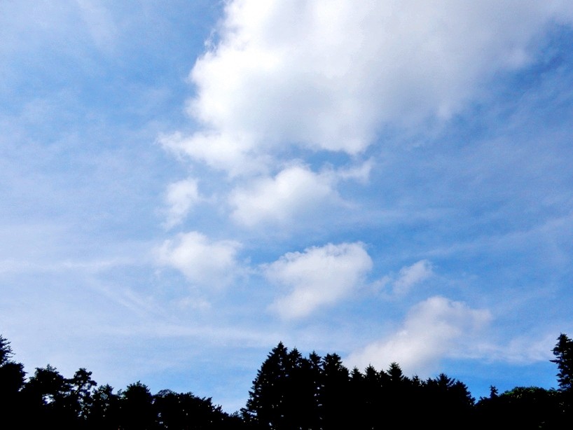 空2.JPG