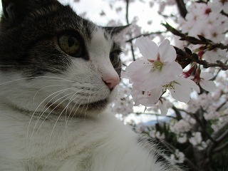 IMG_8961ss.jpg