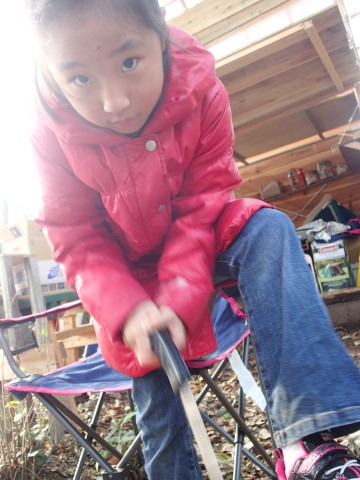 donndennyama131102009