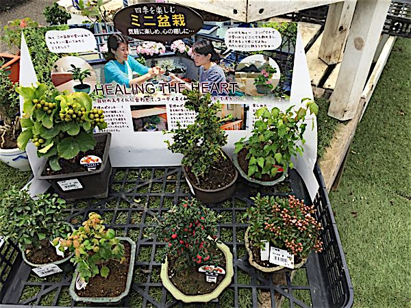 rblog-20160911152312-07.jpg