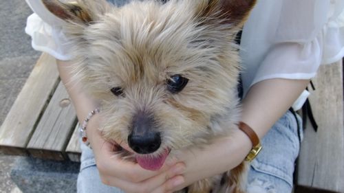 抱っこちゃん＾＾